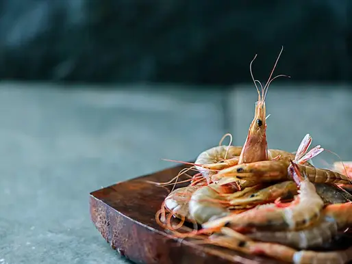 Top 6 Burning Questions Restaurants Ask About Food Photography in Dubai to AI but now Answered by Experts