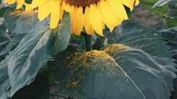 2016-12-27 03.58.02 1