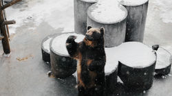 2016-12-10 06.59.00 1