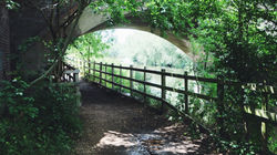 IMG_25580704_101057 2