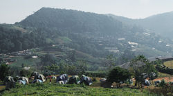 2016-12-27 05.03.54 1