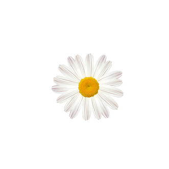 Flower-each-3.png