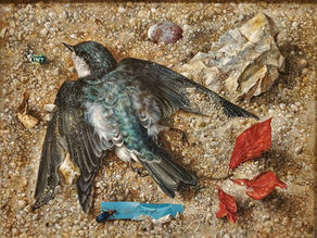 His Eye is On the Sparrow: Devotion for July 6