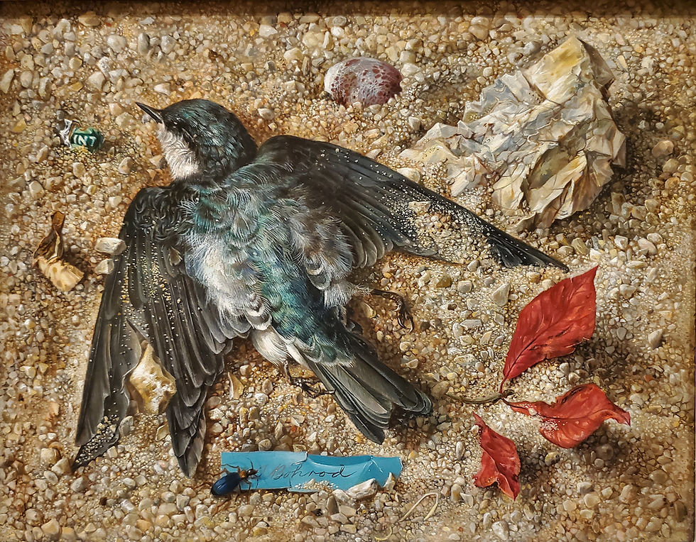 His Eye is On the Sparrow: Devotion for July 6
