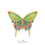 Miniature : Papillon solo - Green Zebra