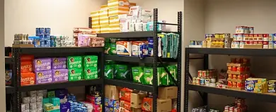 Storage room with shelves stocked full of diapers, canned goods, household items.