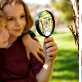 Ciência na Prática: Como Transformar o Aprendizado em Aventura