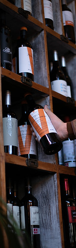 mezcla de los diferentes vinos que ofrecemos