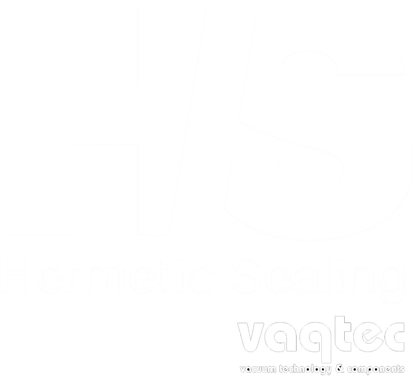 Logo HS-VQ bianco trasparente.gif