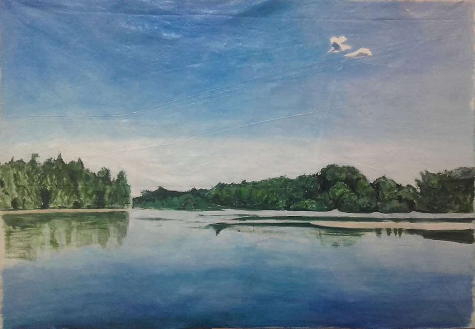 140x100cm Allier Loire