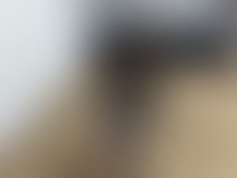 元気いっぱい‼