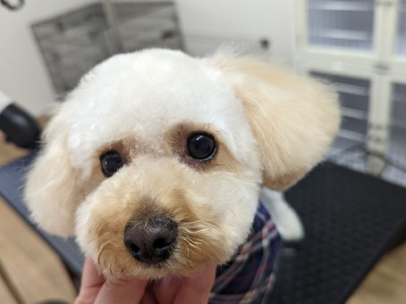 慣れてくれたかな…