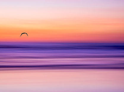 Purple Solitude June Char.jpg