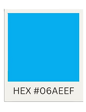 HEX__-removebg-preview.png