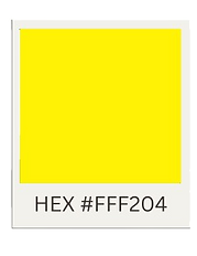 HEX____4_-removebg-preview.png
