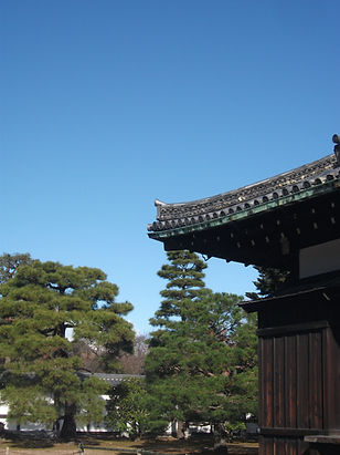 DSCF1617.JPG