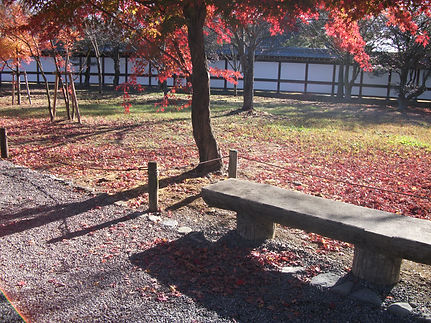 DSCF1626.JPG