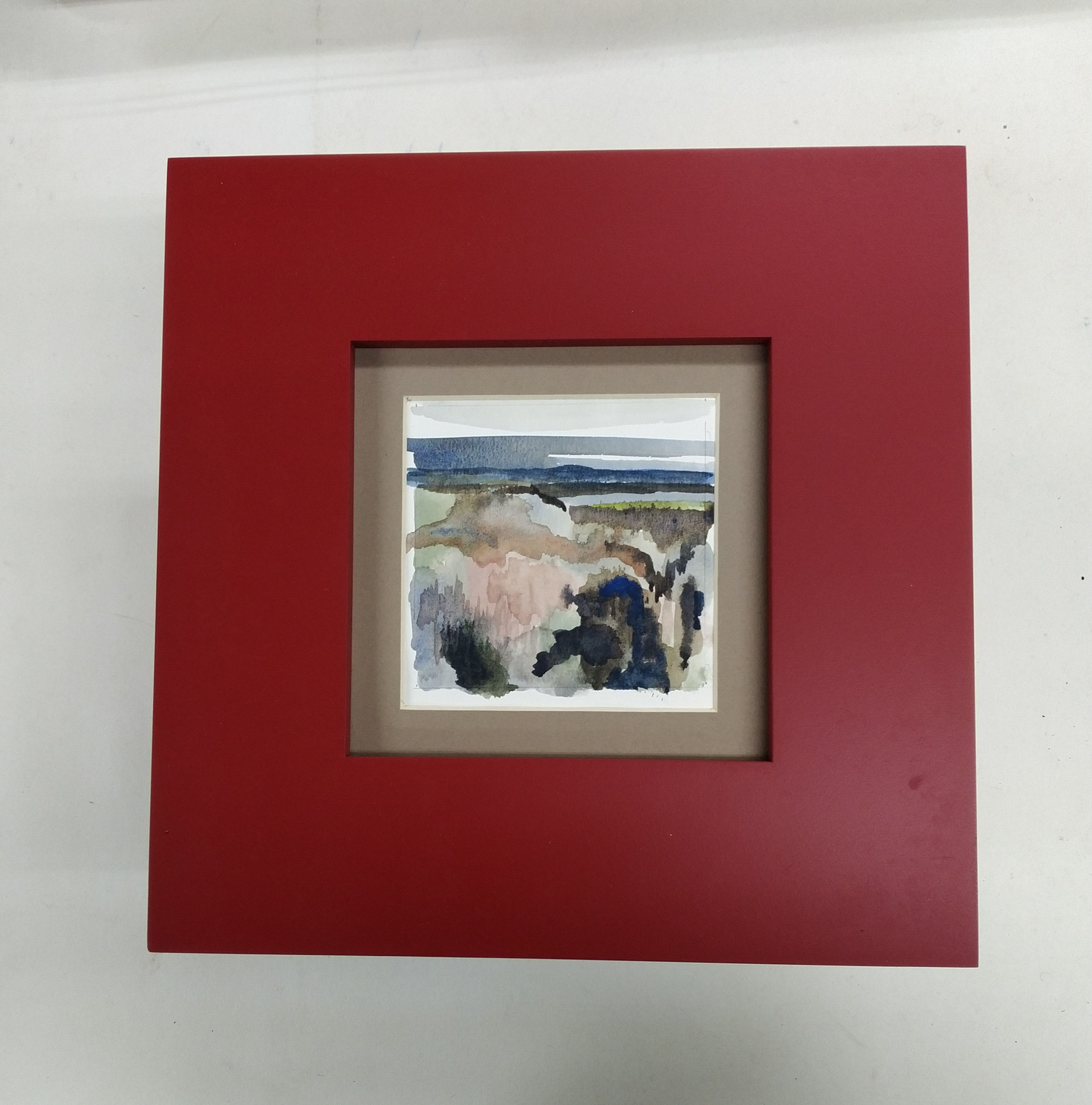 Reunuksen väritutkimus