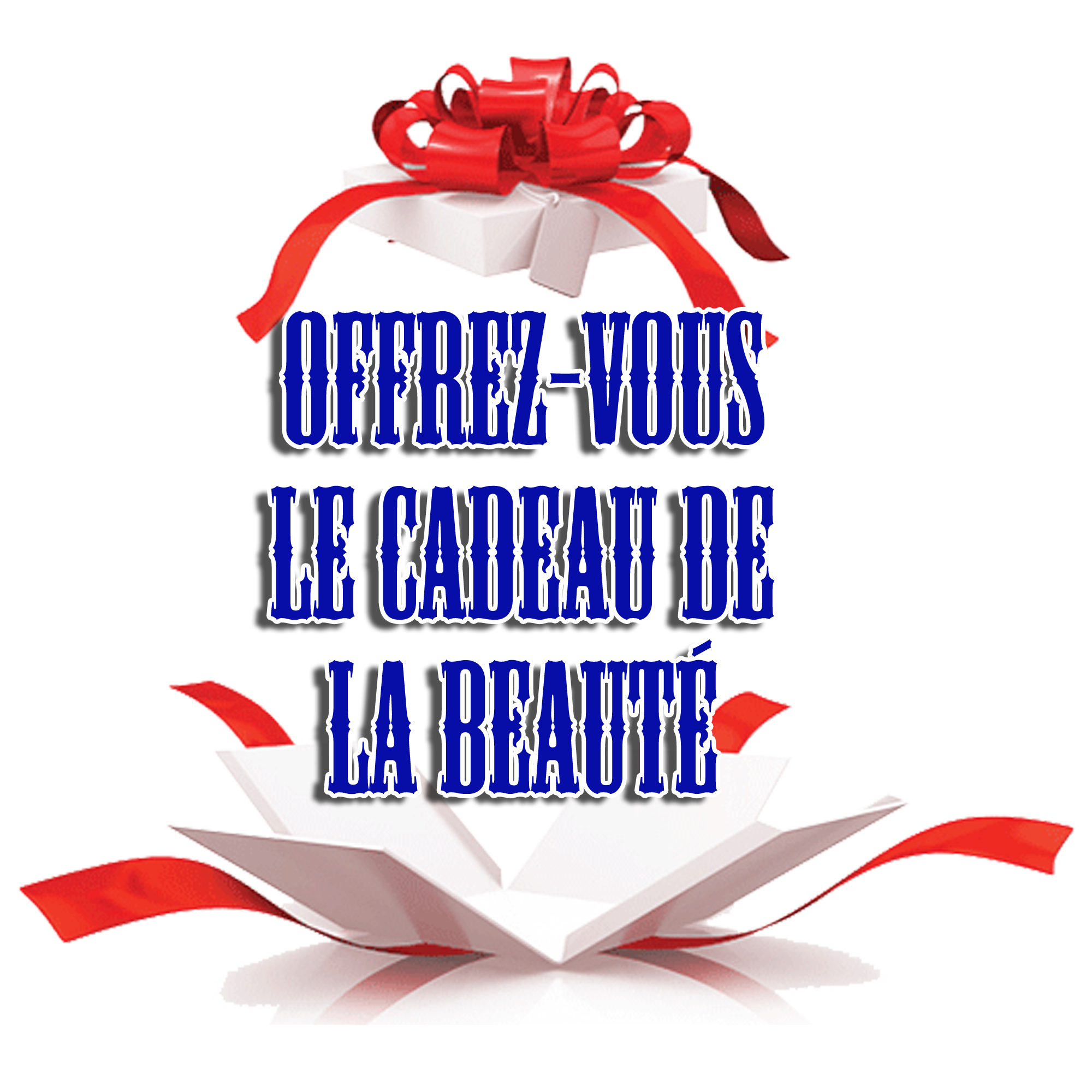 CHRISTMAS OFFER3F.png