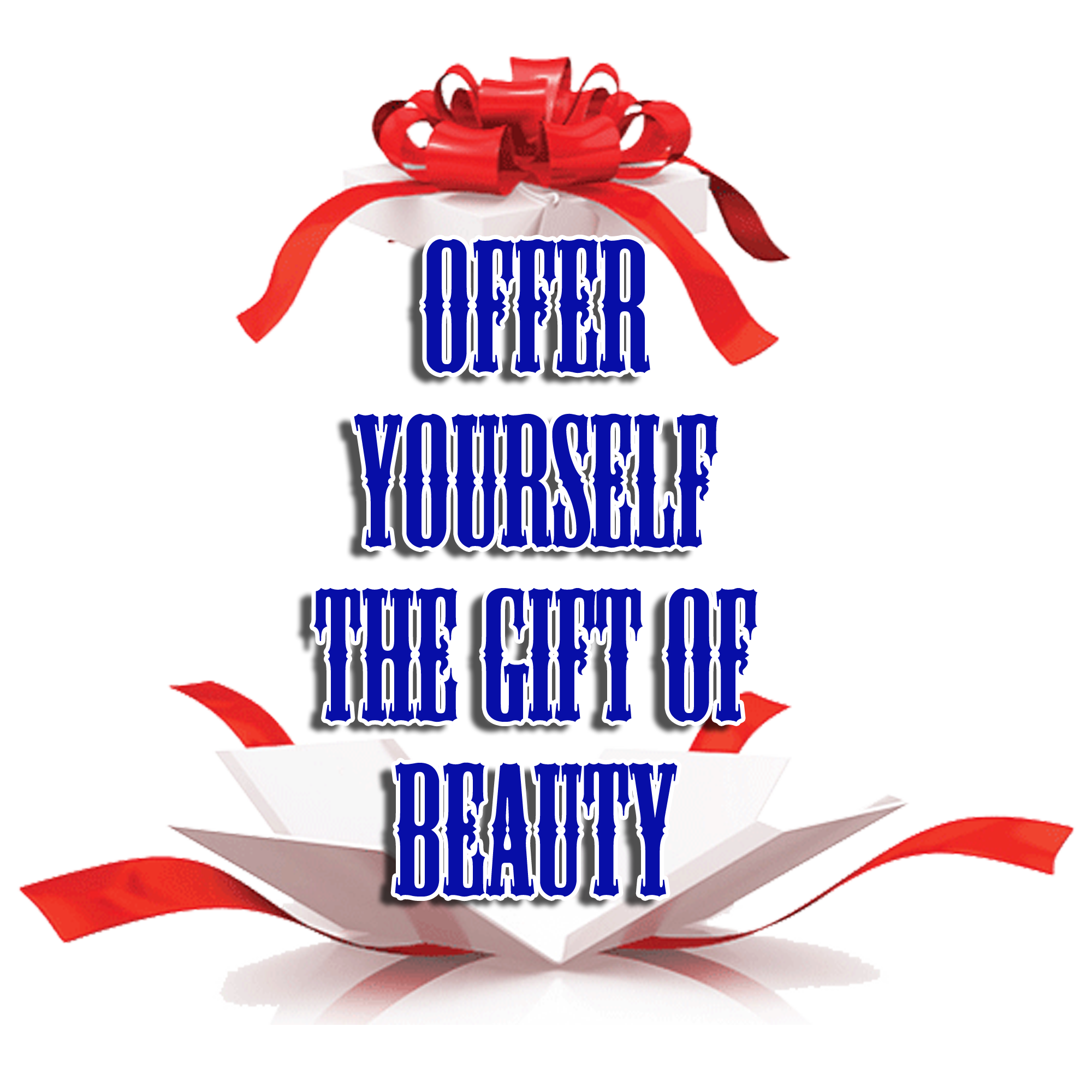 CHRISTMAS OFFER3.png