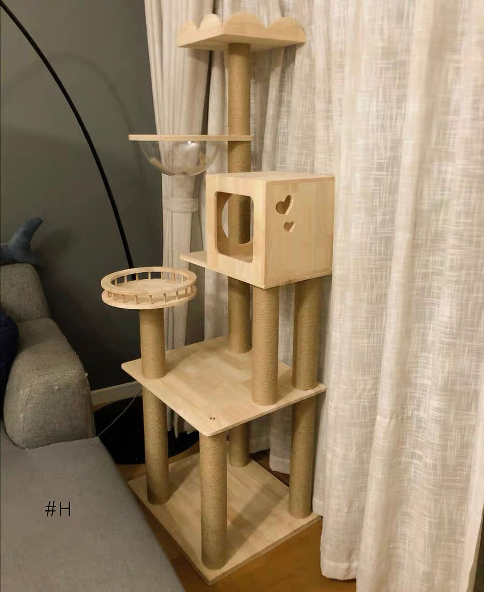 Thumbnail: BIGI NEW 特高實木松木貓咪窩樹貓爬架 #RU H-1.7M 50x60cm Solid wood Cat Tree/Scratchpad