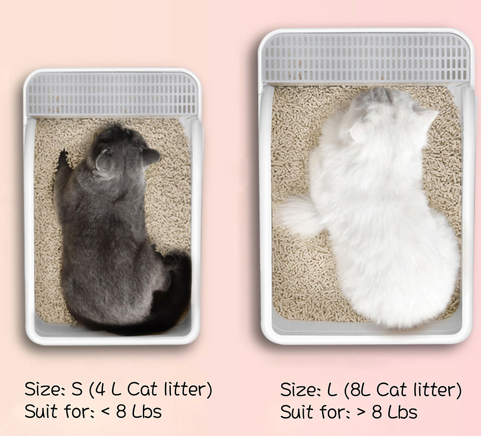 Thumbnail: BIGI 全新現貨包送貨-日式猫砂盆 New Japan Cat litter box CLB1 免費送貨 (Free delivery)