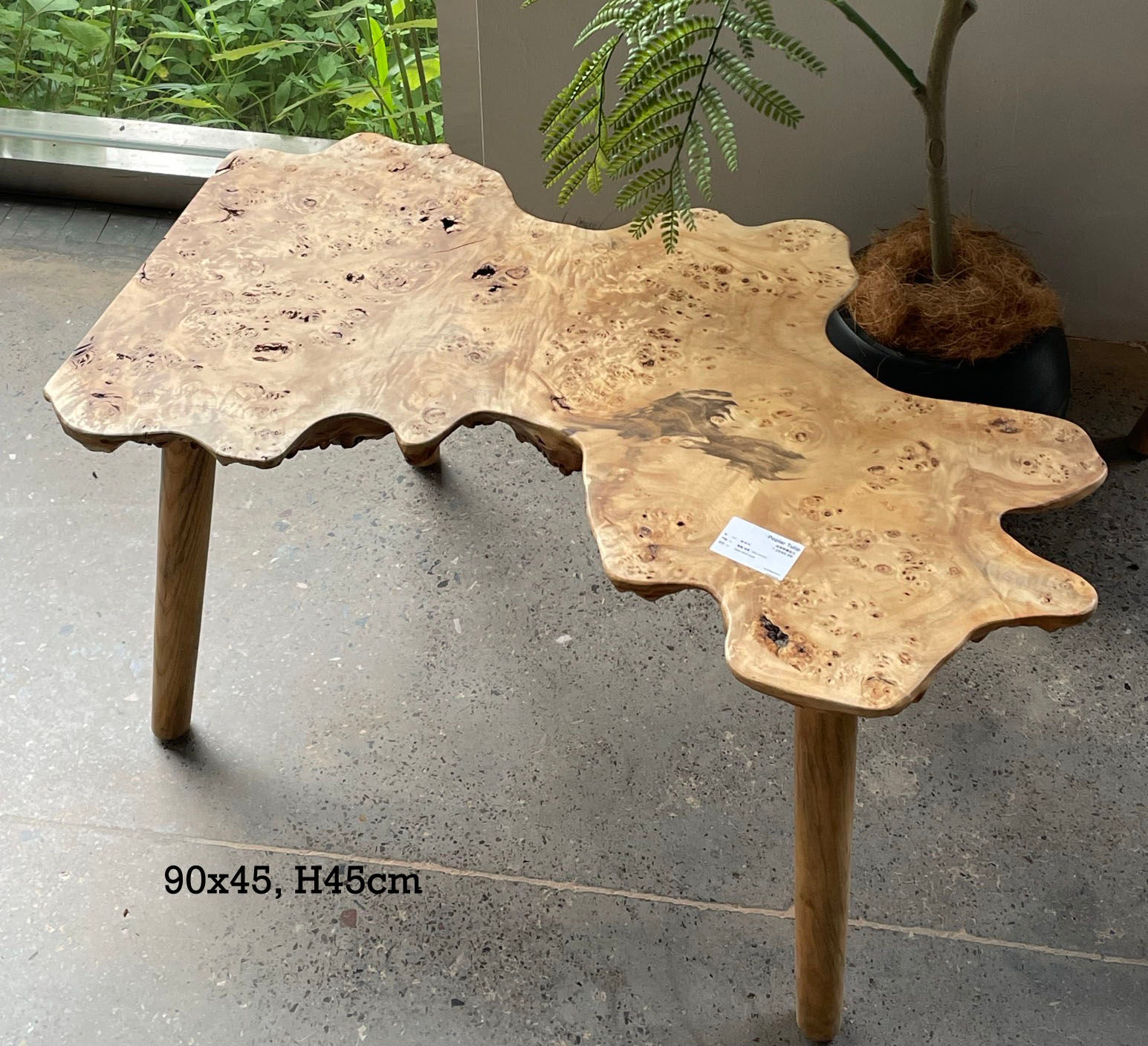 BiGi  Solid wood Poplar burl stool or Coffee Tea table 90x45, H45cm