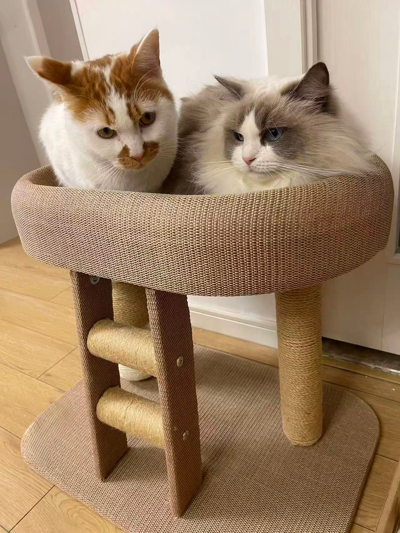 BIGI 慳位迷你貓樹 貓爬架 SW_002 全新現貨包送貨 XS Cat tree home Free delivery