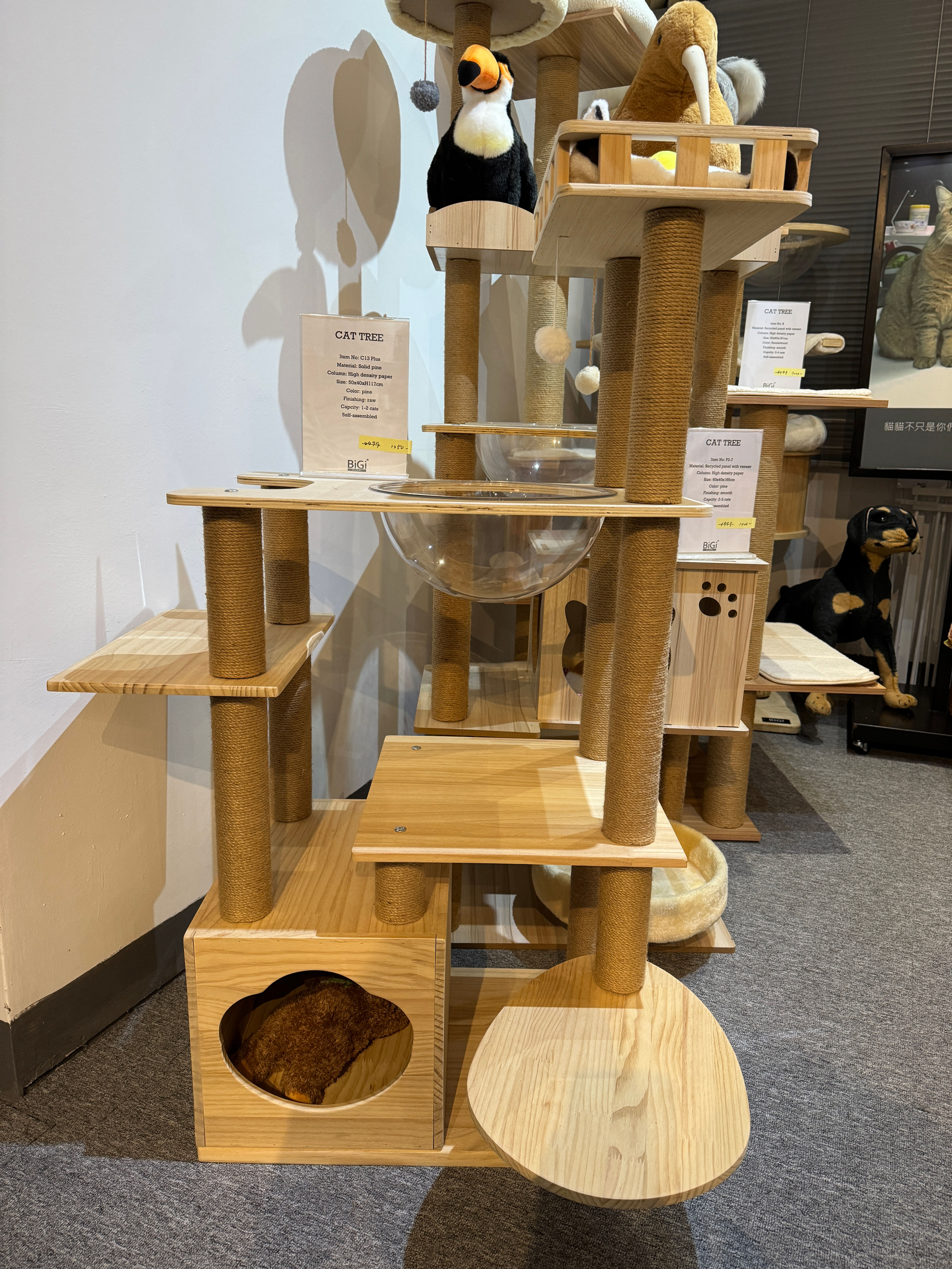 BIGI 進口實木松木 太空艙 迷你貓爬架 Solid pine mini cat tree with space room