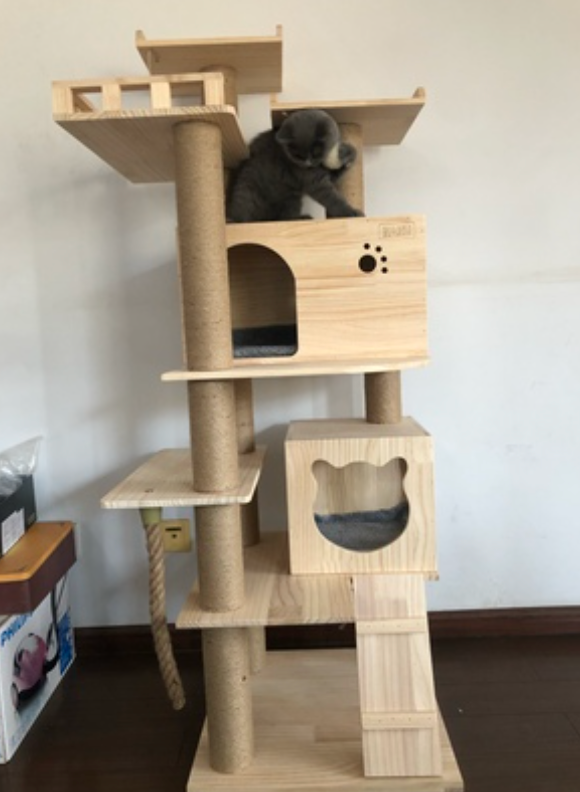 Thumbnail: BIGI NEW 實木松木貓咪窩樹貓爬架 P15 PINE wood Cat Tree/Scratchpad 免費送貨 Free delivery