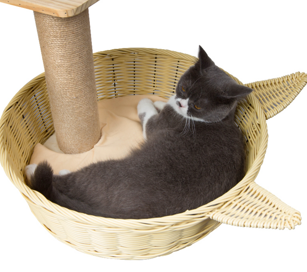 Thumbnail: BIGI NEW 實木松木貓咪窩樹貓爬架 P17 PINE wood Cat Tree/Scratchpad 免費送貨 Free delivery