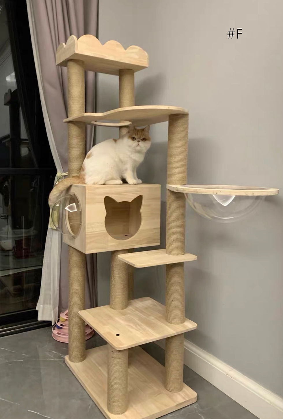 Thumbnail: BIGI NEW 特高實木松木貓咪窩樹貓爬架 #RU H-1.7M 50x60cm Solid wood Cat Tree/Scratchpad