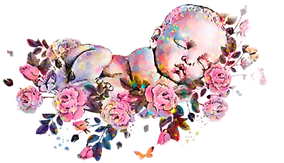 doula support north van