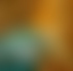 Exploring the Different Types of Birth Settings: Hospital or Home?