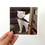 Thumbnail: Look What I Got! 5 x 5 Print