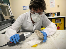 Elise sampling abalone.jpeg