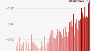Climate News: January Updates