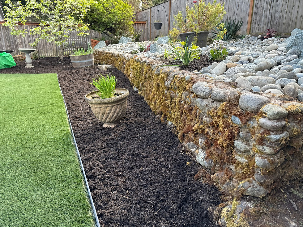 Terraced rock garden with mossy stone wall and mulch