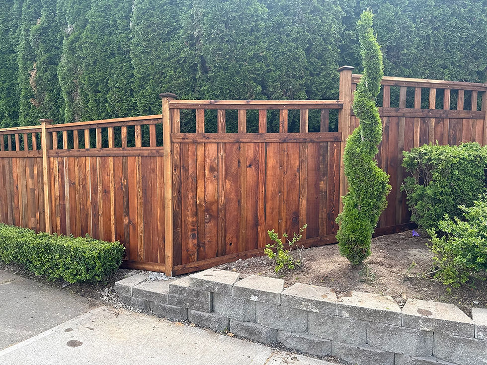 Stained wood privacy fence with decorative top lattice