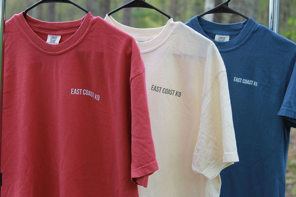 Thumbnail: Freedom Collection Tee