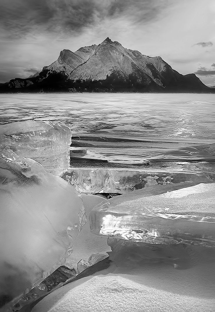 _DSC35562