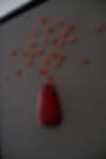 image00014.jpeg