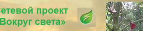 5555_edited_edited.png