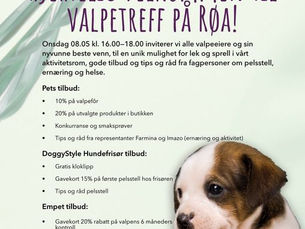 Hyggelig valpetreff på Pets Røa Hundesport og Zoo.
