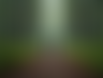 The Power of Tone in Motivation: Understanding the Importance of Motivational Tone