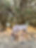 D4768C77-F5DB-4D65-B742-B2DBE76CADF4.jpeg