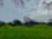 IMG_8095.jpeg