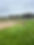 IMG_0303.jpeg