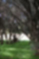 DSC_0065.JPG