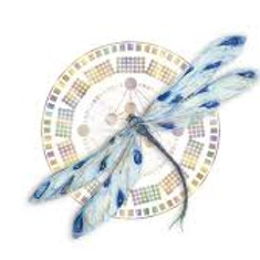 gene keys dragonfly.jpeg